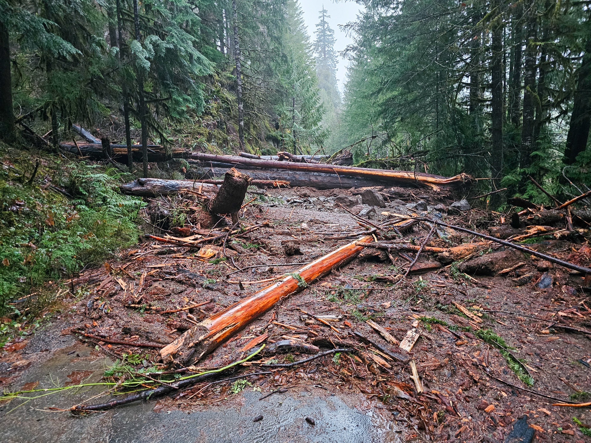 Debris Flow over roadway at HJA