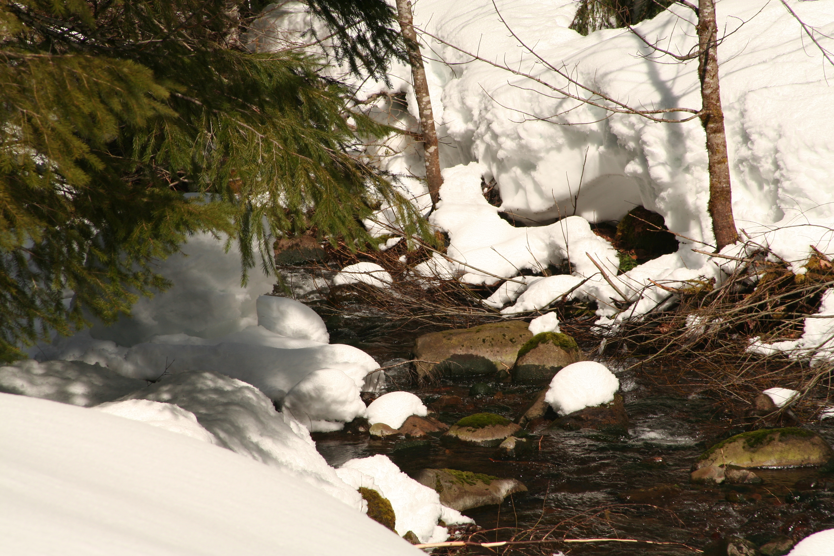 snow and stream at the HJA