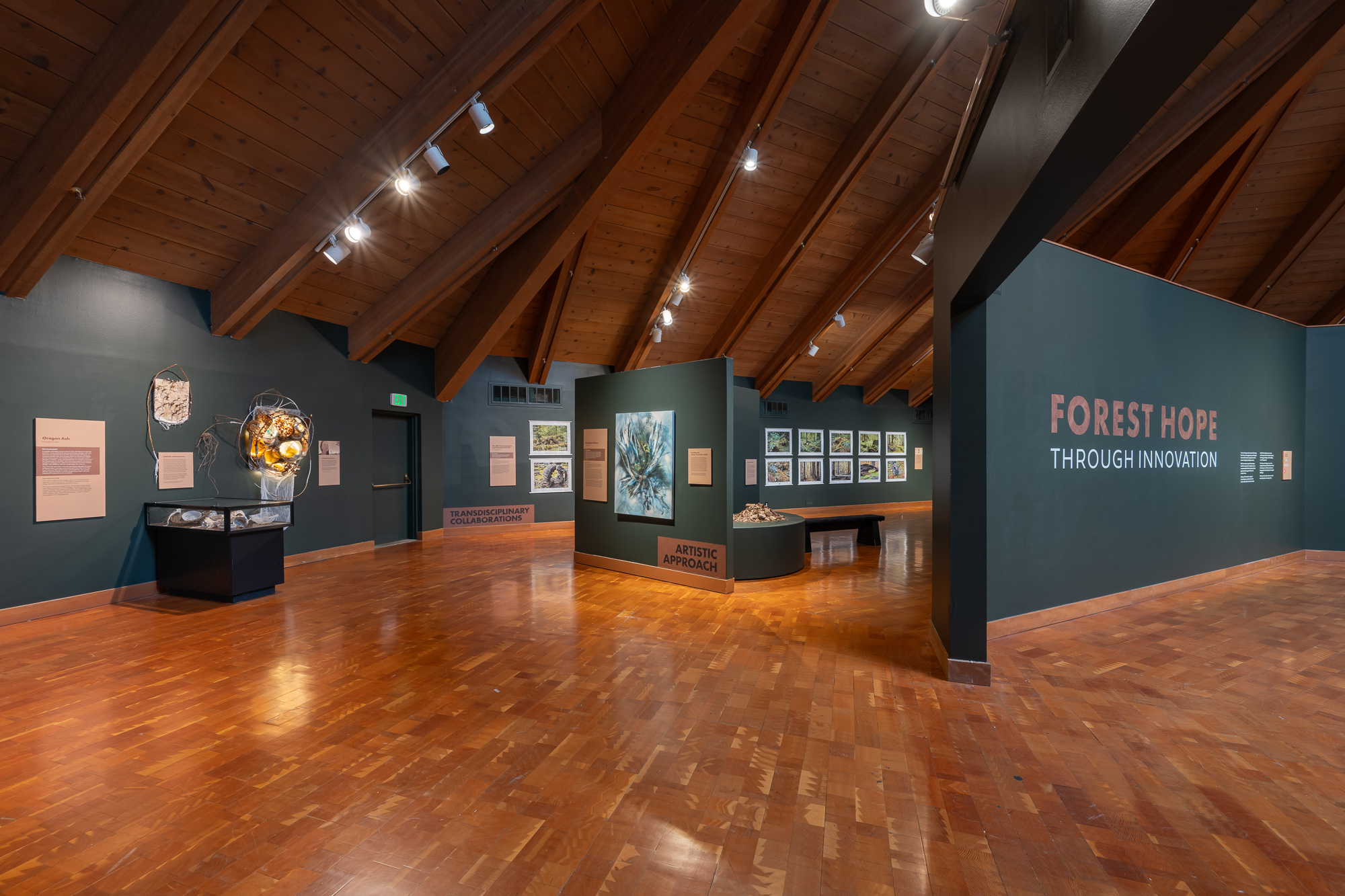Forest Hope Through Innovation exhibit