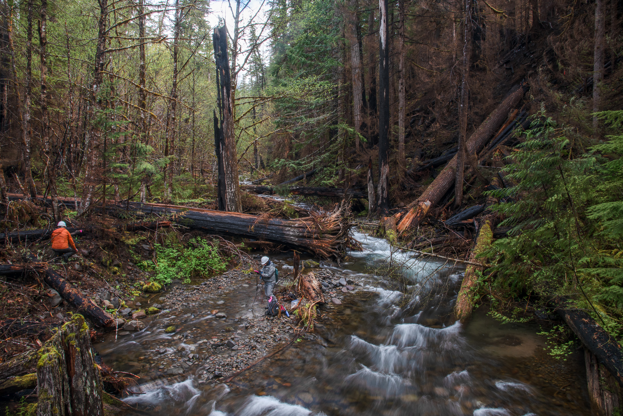 Stream Ecology Spring 2024