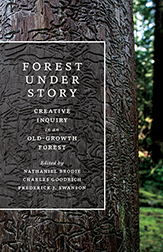 Forest Under Story book cover