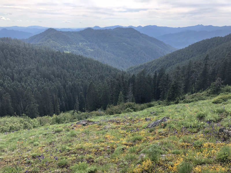 View of Lookout Main