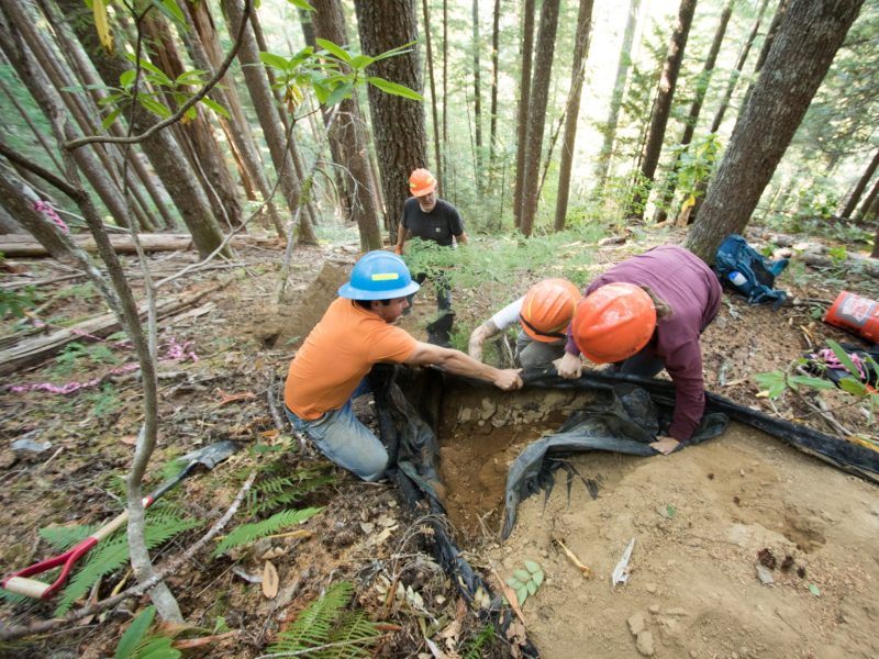 long-term soil sampling, fall 2018
