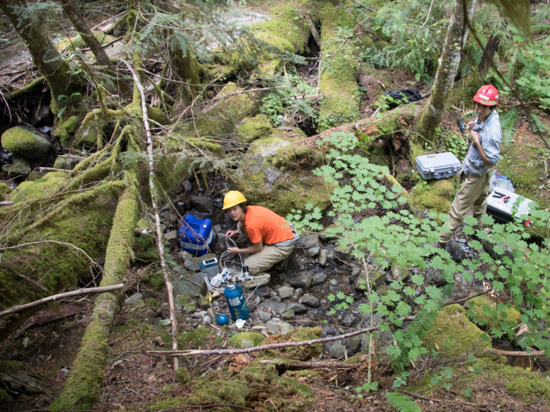 Soil and Stream field work 2017