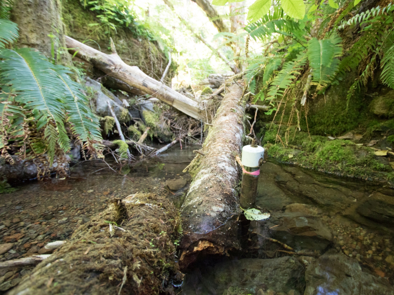 WS01 hydrology