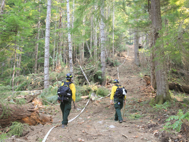 Watershed 2 Post Fire October 2020