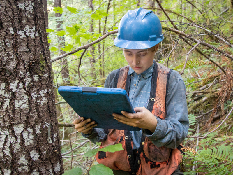 Post-fire vegetation survey WS1 2021