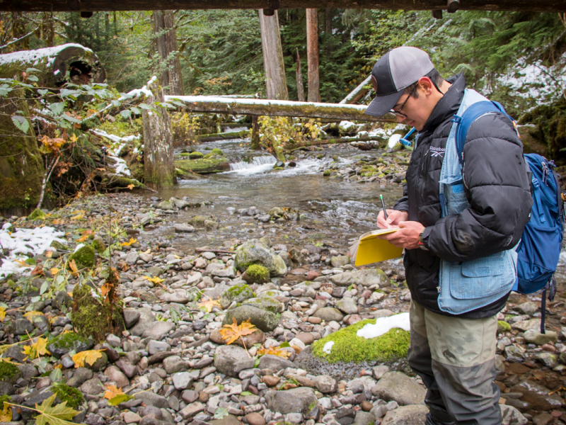 Lookout Creek isotope sampling