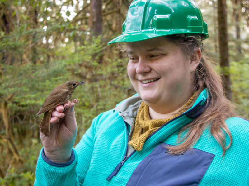 Bird Banding Spring 2023