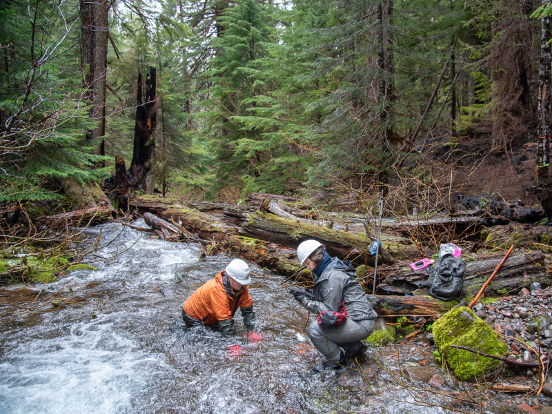 Stream Ecology Spring 2024