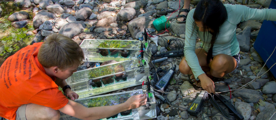 measuring primary productivity in incubation tanks