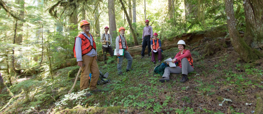 2018 veg PSP crew: David Shaw, Principal Investigator, OSU; Bryan Sipe, crew member, OSU; Rob Pabst, project coordinator, OSU; David Bell, Research Forester, PNW Research Station; Jessie Hild, crew member, OSU; Amanda Brackett, crew leader, OSU