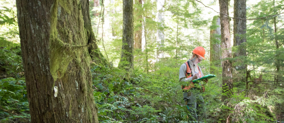 Pacific Northwest Permanent Sample Plot Program, Field work 2018