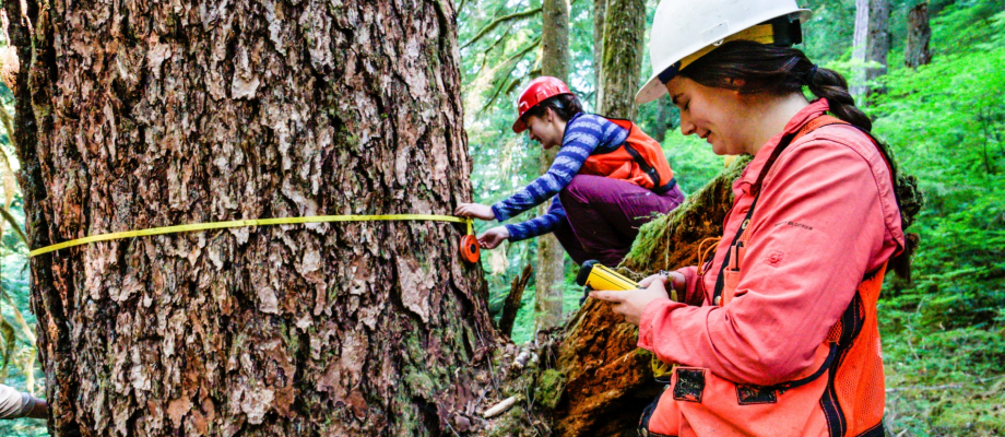 Pacific Northwest Permanent Sample Plot Program, Field work 2018