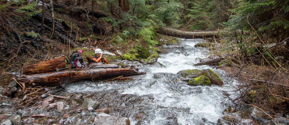 Stream Ecology Spring 2024
