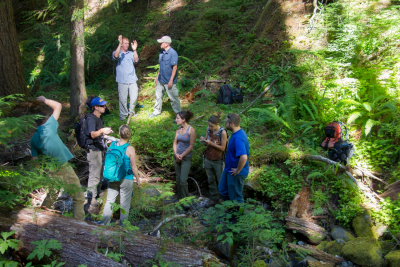 Stream Ecology field work, July 2014