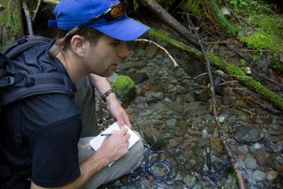 Stream Ecology field work, July 2014