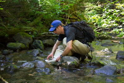 Stream Ecology field work, July 2014