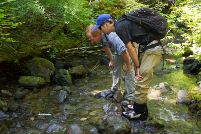Stream Ecology field work, July 2014