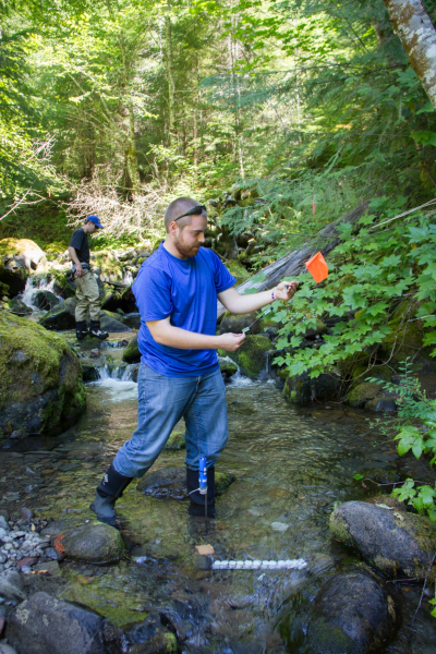 Stream Ecology field work, July 2014