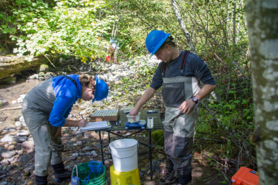 SCALER field work at the Andrews Forest