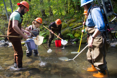 SCALER field work at the Andrews Forest