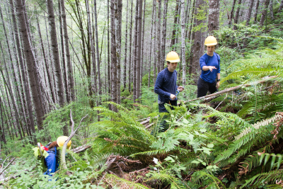 Graduate students in Watershed 1