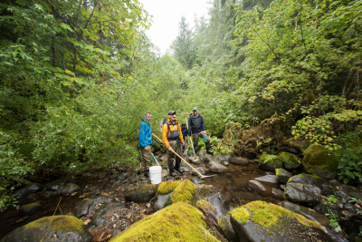 Mack Creek stream vertebrates study crew