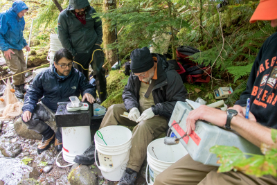 Mack Creek stream vertebrates study crew