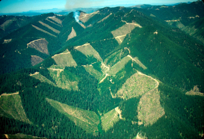 Blue River aerial image