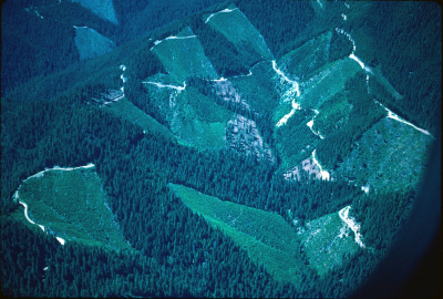 	HJ Andrews and surrounding area; Mona Creek