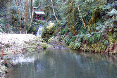 Gauging Station at Watershed 1
