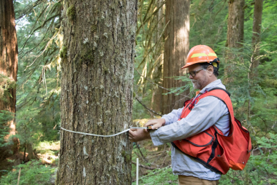 Pacific Northwest Permanent Sample Plot Program, Field work 2018