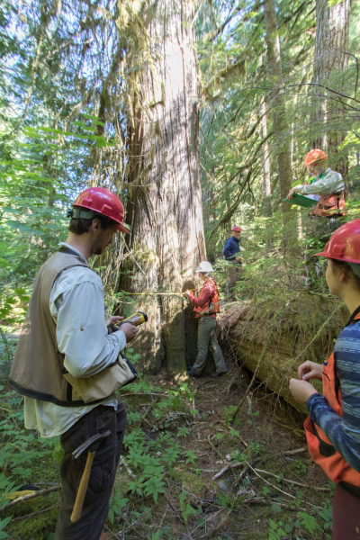 Pacific Northwest Permanent Sample Plot Program, Field work 2018
