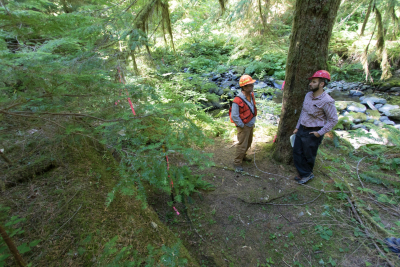Pacific Northwest Permanent Sample Plot Program, Field work 2018