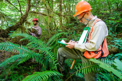 Pacific Northwest Permanent Sample Plot Program, Field work 2018