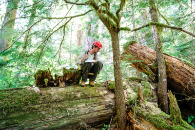 Pacific Northwest Permanent Sample Plot Program, Field work 2018