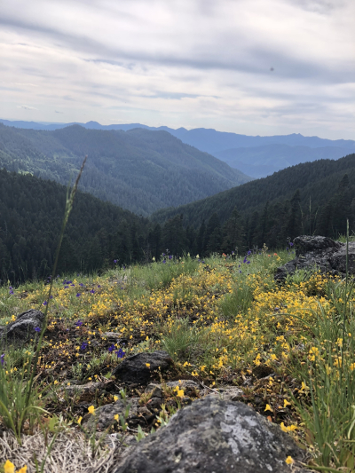 View of Lookout Main