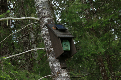 field camera