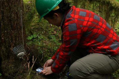 field researcher