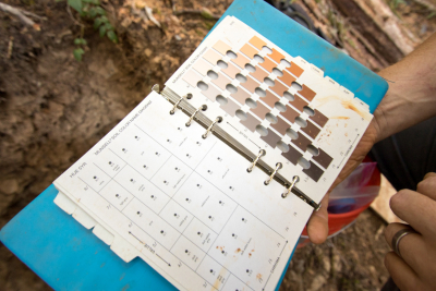 a Munsell book, many soil colors from temperate enviroments land on this page