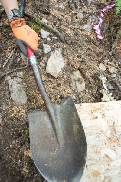 a shovel