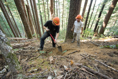 filling voids of a soil pit and trying to mimic the previous bulk density of the soil prior to excavation