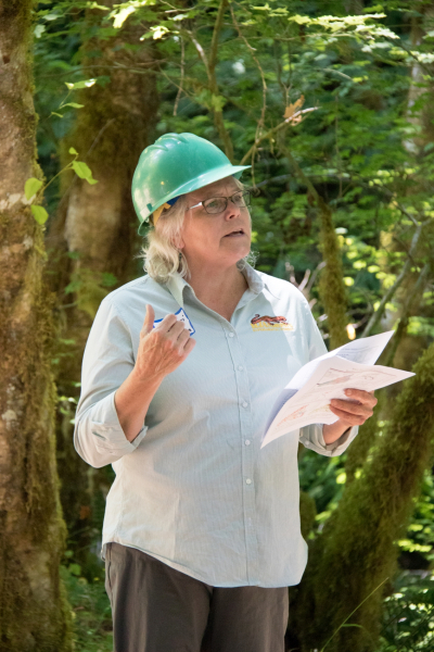 Sherri Johnson presents on long-term measurements of stream and precipitation chemistry