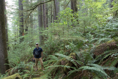 Matthew Betts in a stand of old-growth forest