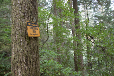 Experimental Forest signage