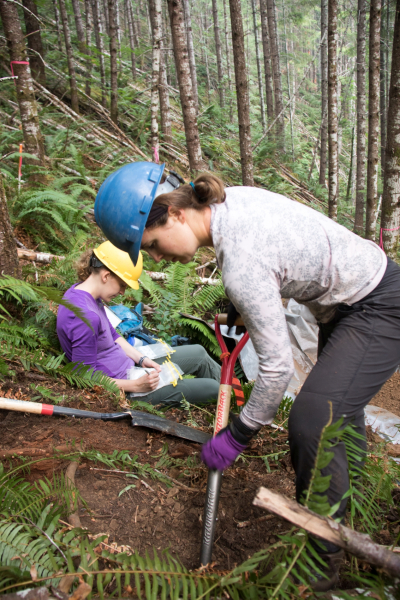 Soil and Stream field work 2017