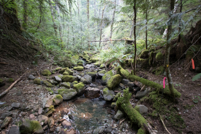 Soil and Stream field work 2017