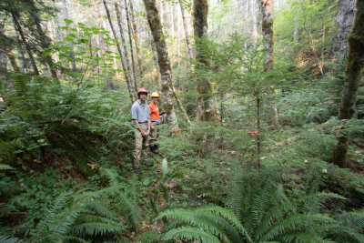 Soil and Stream field work 2017