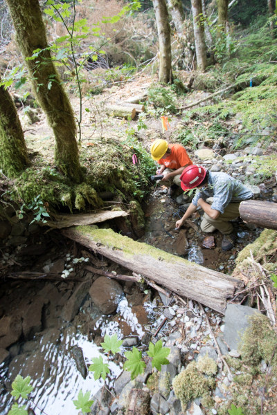 Soil and Stream field work 2017